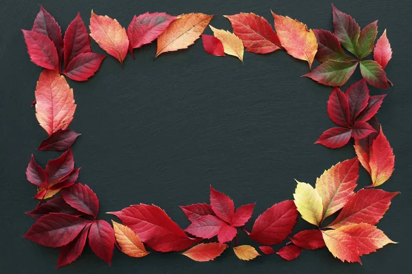 暗い背景に赤と黄色の秋の葉 秋からフレームのテキストのためのスペースと葉 — ストック写真