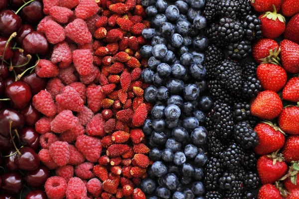 Variety Ripe Fresh Colorful Berries Row — Stock Photo, Image