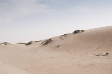 Kumul kambur mavi gökyüzü ile