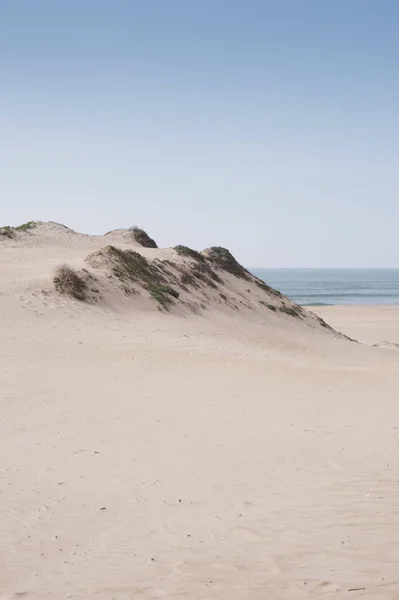 Oceano dunes with blue ocean and sky in the background