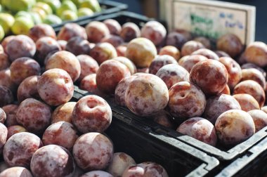 Çiftçilere piyasa ahır tatlım yumruk pluot meyve dolu kutular ile
