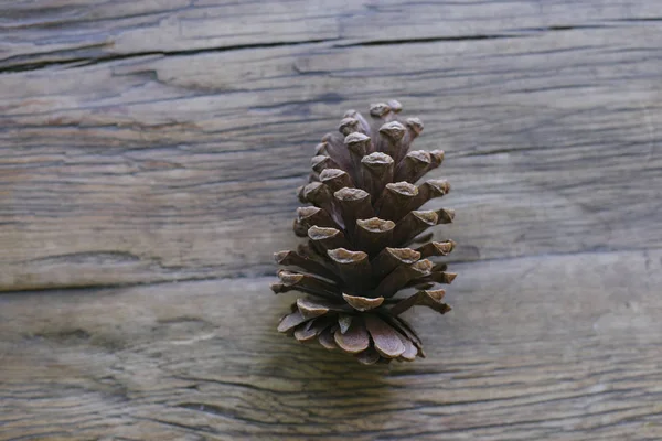 Pemandangan Puncak Dari Kerucut Pinus Tinggi Berbaring Atas Meja Pertanian — Stok Foto