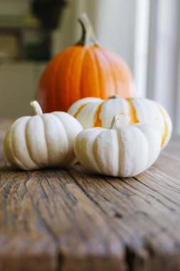 Bir grup bir ev içinde küçük kabak görünüm