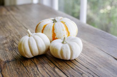 Ahşap bir masa üzerinde 3 mini kabak ile sonbahar sahne