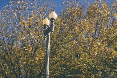 Sonbahar sahne sokak lambası ile Washington DC