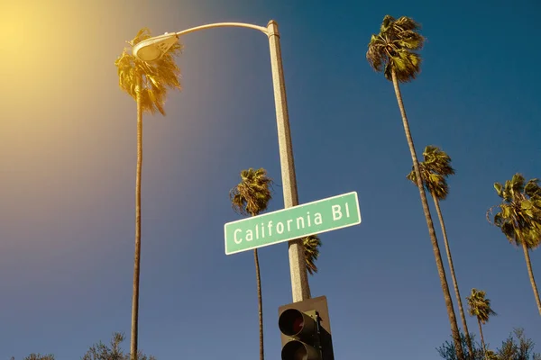 Scenę California Street Lecie Palmami Znak California Blvd — Zdjęcie stockowe