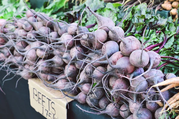 Large amount of beets bunched up on a table for sale at the farmers market