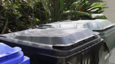 Genç kızın büyük bir plastik çöp kutusuna tam bir çöp torbası yerleştirerek görüntüleri