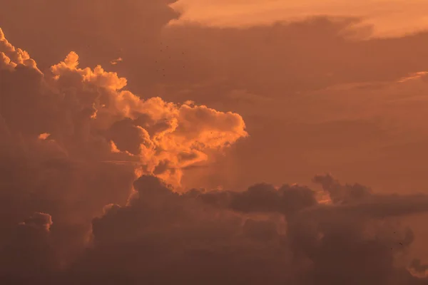 Cielo Dorado Por Noche —  Fotos de Stock