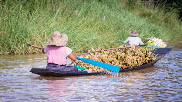 Inle Gölü, Myanmar içinde bir sığınağın Kano kürek kadınlar.