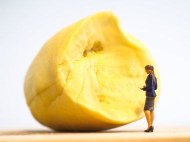 Minyatür insanlar, Kadın Durian 'ın beyaz arka plandaki kalitesini kontrol eder (Gıda ve İş Konsepti)