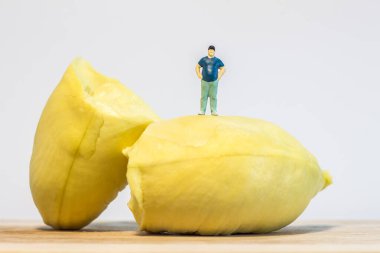 Miniature people : Close up fat man standing with durian isolated on white background  clipart