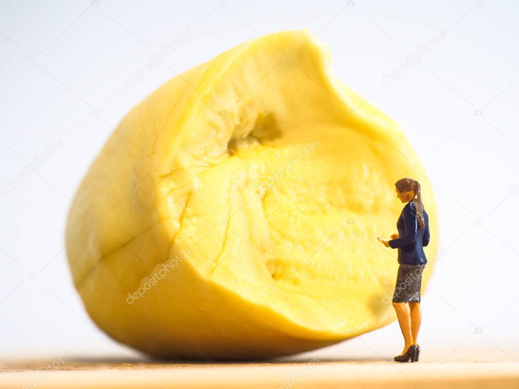 Miniature people,  Woman checks the quality of Durian on white background (Food and Business Concept)
