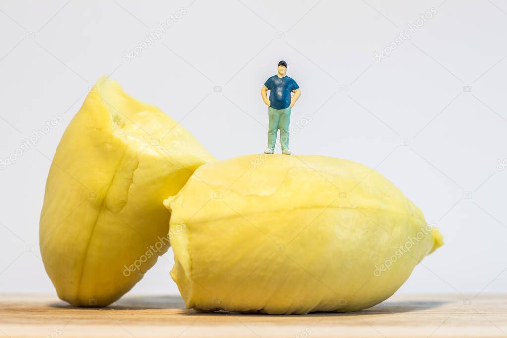 Miniature people : Close up fat man standing with durian isolated on white background 