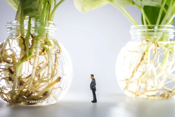 Personas Miniatura Primer Plano Hombre Negocios Pie Mirando Epipremnum Aureum —  Fotos de Stock