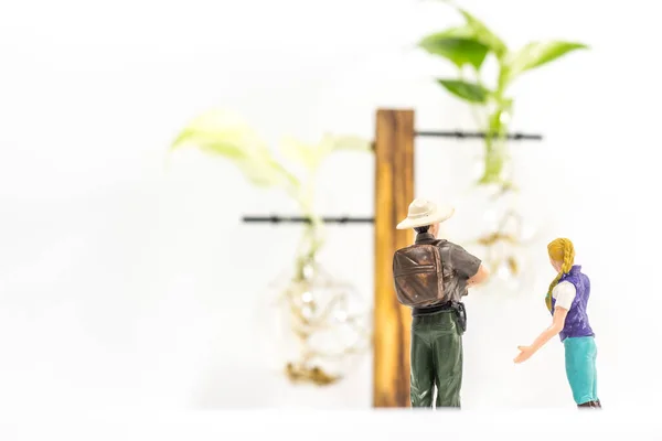 Miniature People Male Female Farmers Standing Looking Epipremnum Aureum Golden — Stock Photo, Image