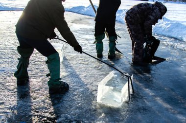 İşçiler büyük doğal buz küpleri çıkarıyorlar. 'Buz madencileri'