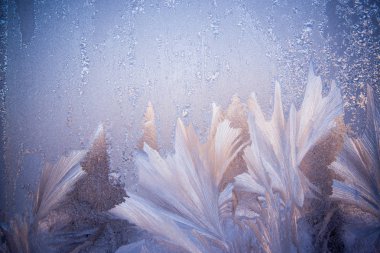 Cam ayaz izi. Kış Noel zemin. Buzlu cam buz arka plan, doğal güzel kar taneleri.