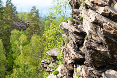 Tayga üzerinde görüntüleyin. Sibirya orman kayalarda