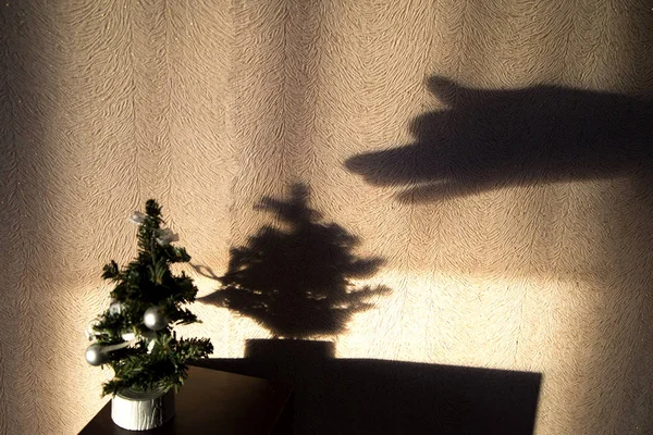 miniature Christmas tree with a shadow on the wall of the room, shadow of the wolf