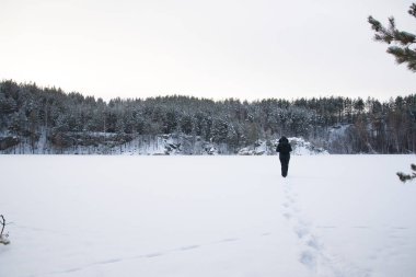taze ayak manzara, kış doğa karla kaplı