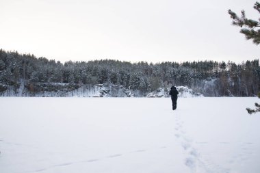 taze ayak manzara, kış doğa karla kaplı