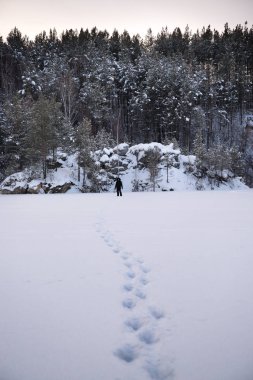 taze ayak manzara, kış doğa karla kaplı