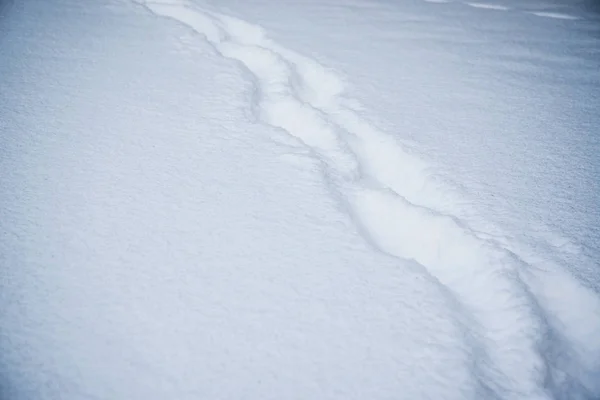 Fresh Footprints Snow Covered Landscape Winter Nature — Stock Photo, Image