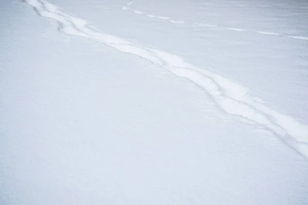 Fresh Footprints Snow Covered Landscape Winter Nature — Stock Photo, Image