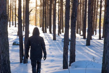 karda ağaçları arasında kış ormandaki insan silueti