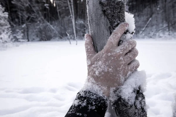 Mano Drammatica Nella Neve Tragedia — Foto Stock