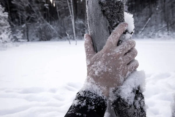 Tangan Dramatis Atas Salju Tragedi Stok Foto Bebas Royalti