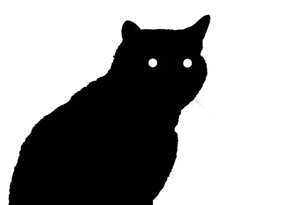 Silhouette Cat Eyes Cat Silhouette Sitting White Black Isolated Cat — Stock Photo, Image