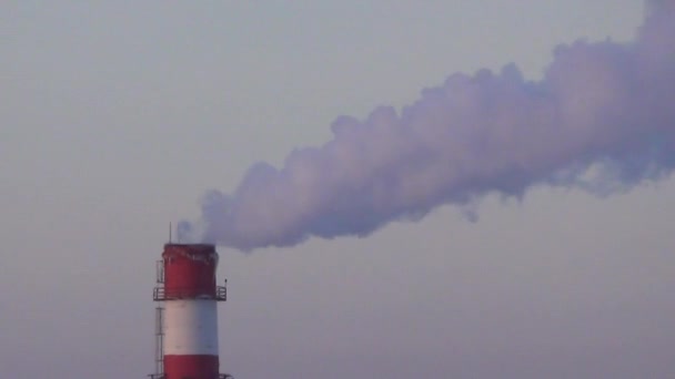 Hustý Kouř Továrních Komínů Velké Potrubí Kotle Dispozici Bílý Hustý — Stock video