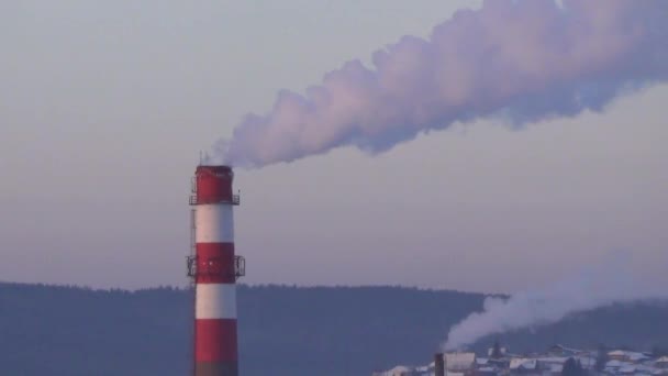 工場の煙突から煙は濃い 太いボイラー 白の濃い煙があります — ストック動画