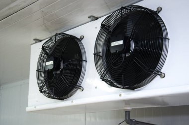 Ambar dondurucu, odanın içinde duvardaki soğutma grubu