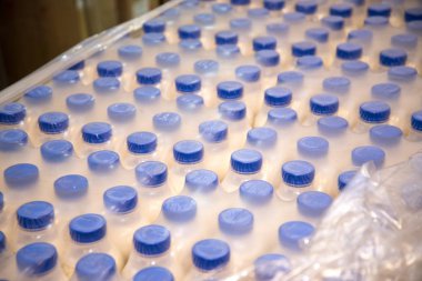 Ambalaj kozmetik Sprey alüminyum ve plastik şişe kapağı üstten görünüm üzerinde yapılan birçok şampuan karton şişelerde