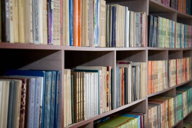 Çelyabinsk, Rusya Federasyonu - Mart 2019. Okul Kütüphanesi kitap ile raf. Kütüphane kitap rafı.