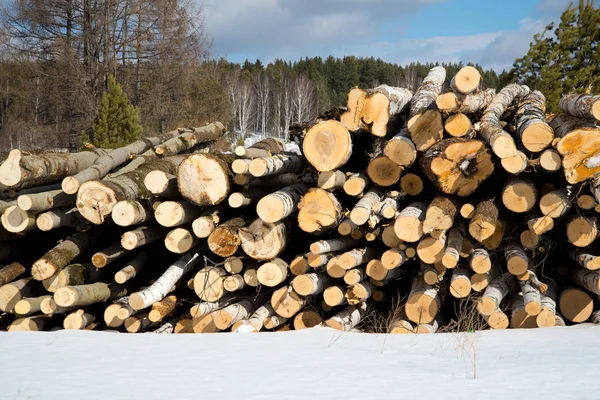 Stacked wood logs , sawn logs. — Stock Photo, Image