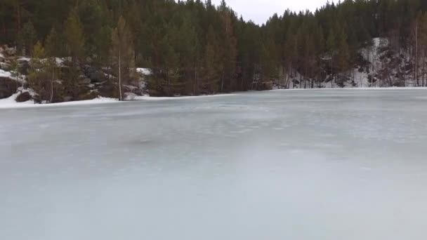 海岸に沿っての湖の氷の上にスライドさせます 低高度で雪に覆われた森林に沿って飛んで — ストック動画