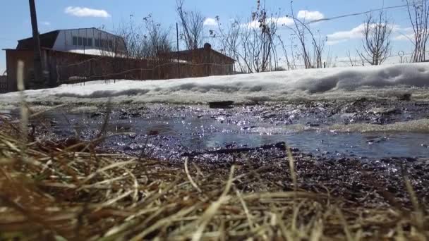 Close-up. Sunny spring day. The snow melts under the sun. Runs stream on the road near the farm. Countryside — Stock Video