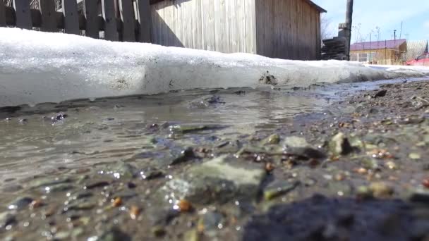 Nære på. Solrik vårdag. Snøen smelter under solen. Det renner strøm på veien nær gården. Landlig – stockvideo