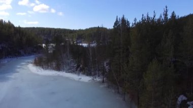 Donmuş bir gölün kıyısındaki çam ormanının kenarı. Kış, temiz hava, Drone'dan. açılış çekimi