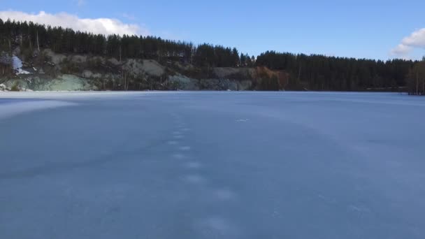 Rand van een dennenbos aan de oever van een bevroren meer. Winter, helder weer, van drone. ontveiling schot — Stockvideo