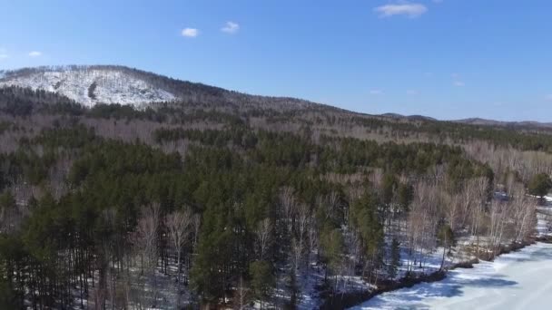 Borda de uma floresta de pinheiros na margem de um lago congelado. Inverno, tempo limpo, de Drone. tiro de revelação — Vídeo de Stock