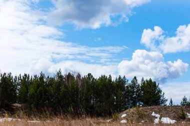 Bahar ormanının üzerindeki güzel beyaz bulutlar
