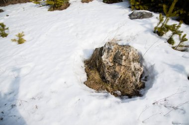 Karda taş. Güneşli bir gün. Kuvars taşı