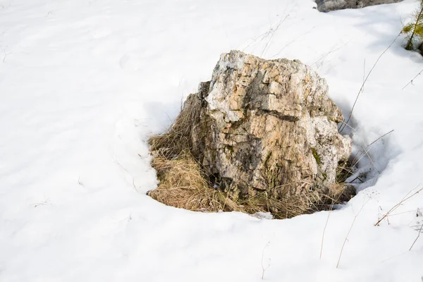 Камінь у снігу. Сонячний день. Кварцовий камінь — стокове фото