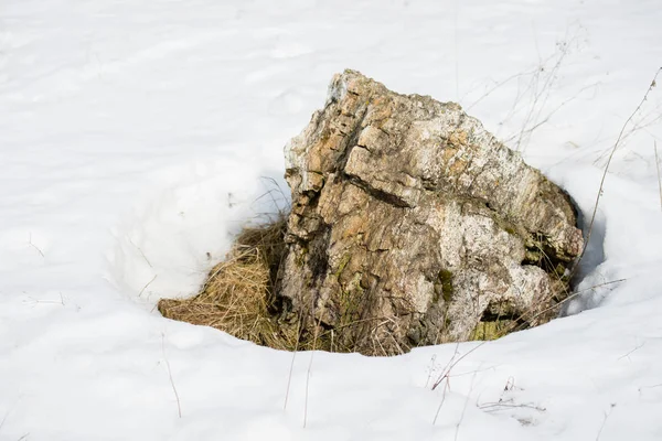 Stein im Schnee. sonniger Tag. Quarzstein — Stockfoto