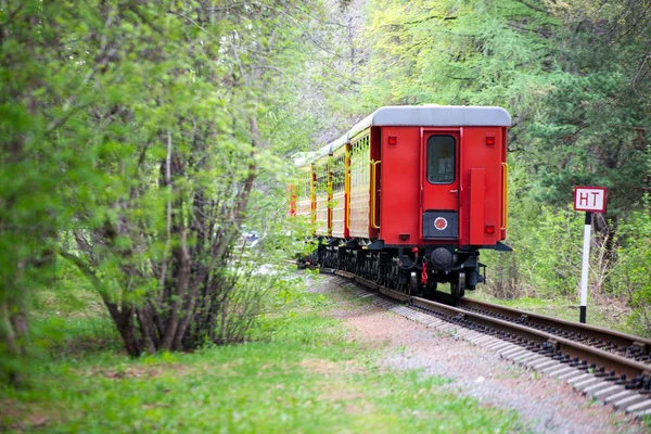 火车的后部与红色车厢在道路的尽头通过美丽的风景，铁路. — 图库照片